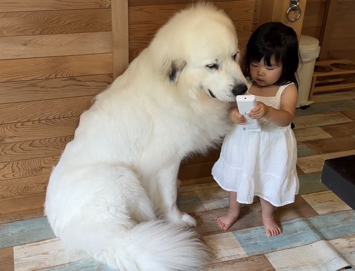 애니멀플래닛