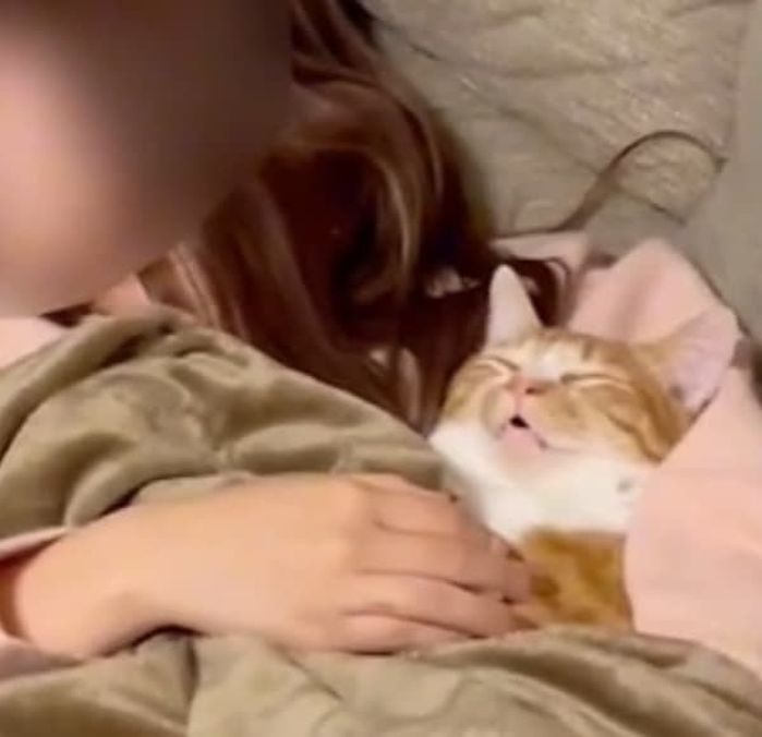 애니멀플래닛