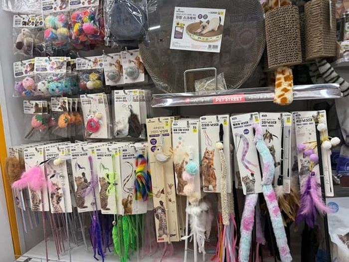 애니멀플래닛