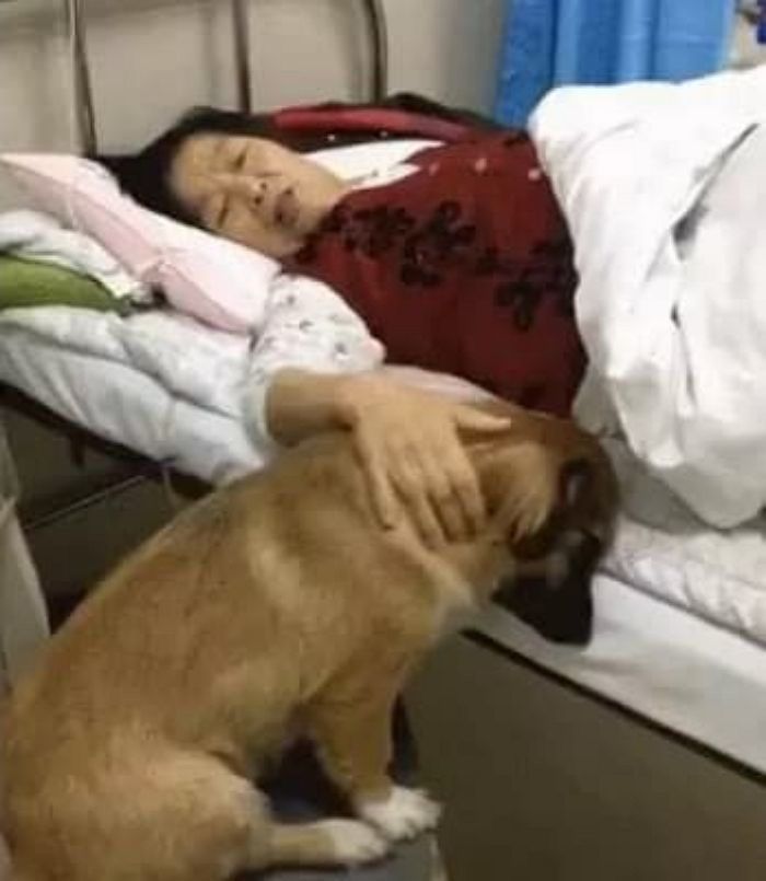 애니멀플래닛