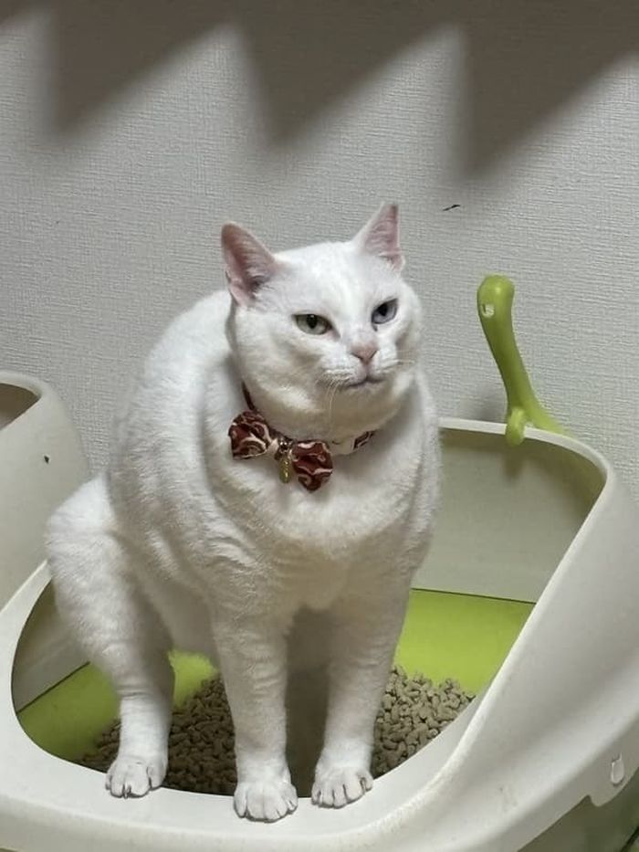 애니멀플래닛