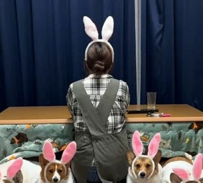 애니멀플래닛