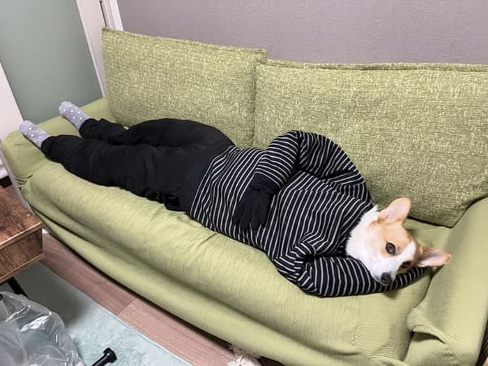 애니멀플래닛