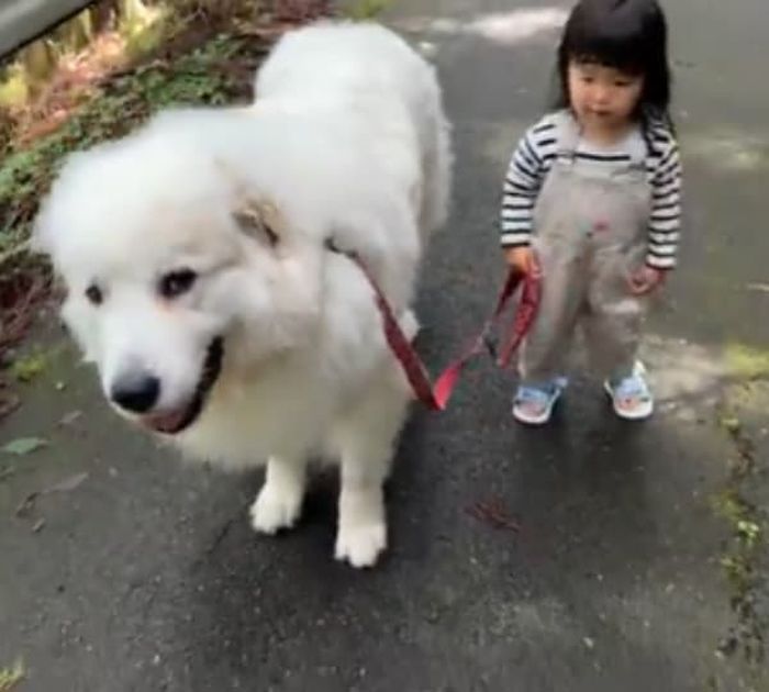 애니멀플래닛