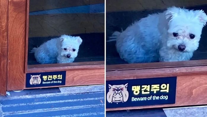애니멀플래닛
