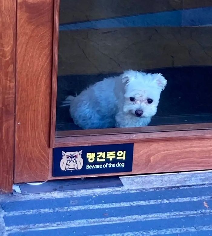 애니멀플래닛