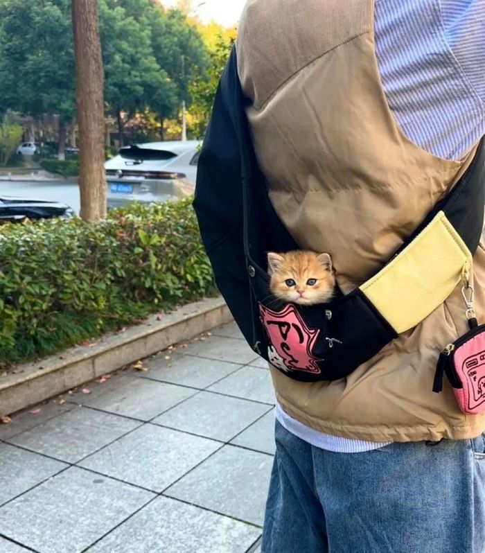 애니멀플래닛