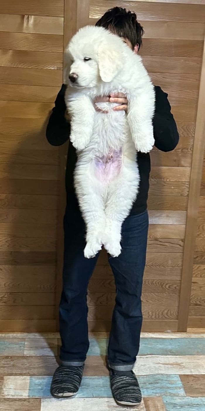 애니멀플래닛