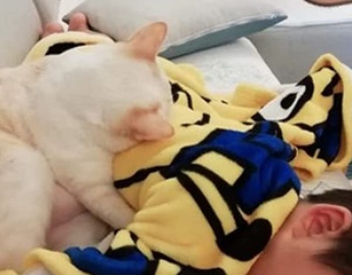 애니멀플래닛