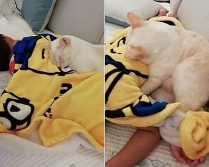 애니멀플래닛
