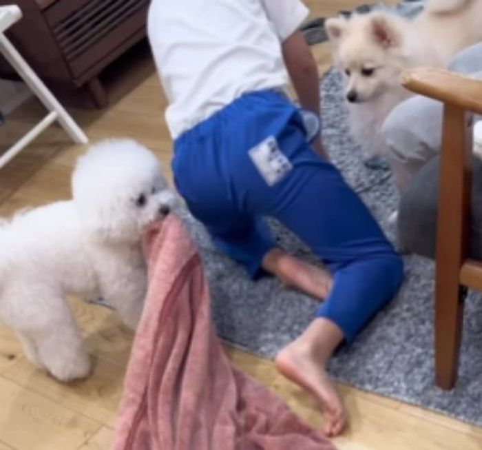 애니멀플래닛