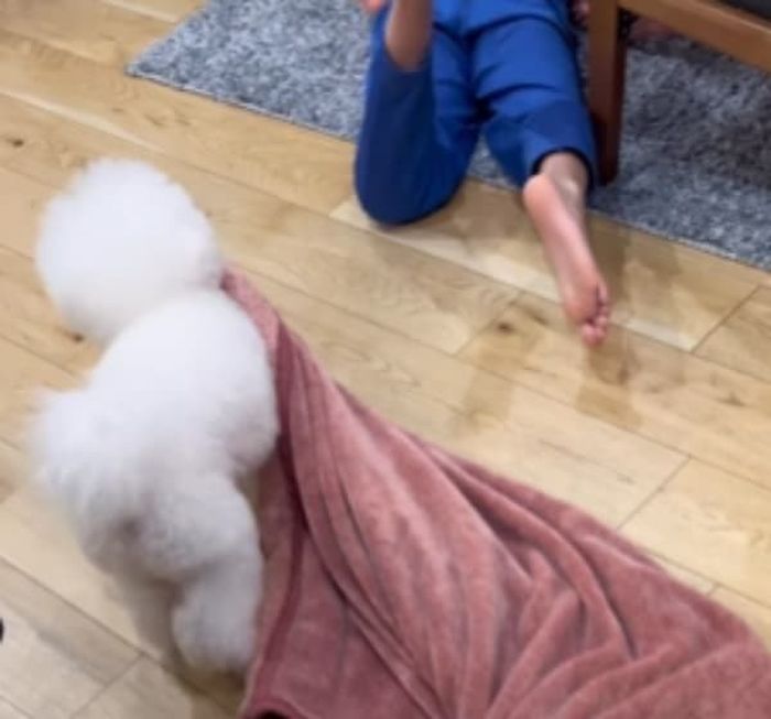 애니멀플래닛