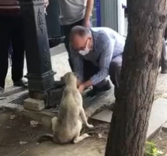 애니멀플래닛