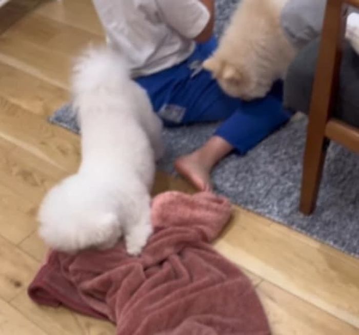 애니멀플래닛
