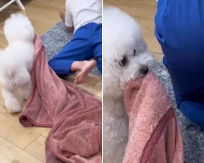 애니멀플래닛