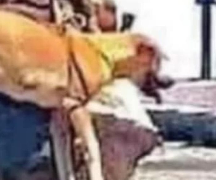 애니멀플래닛