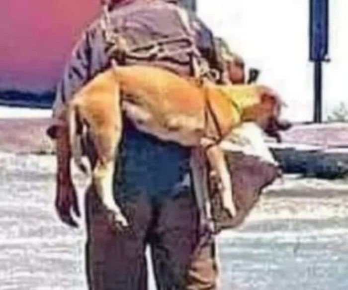 애니멀플래닛