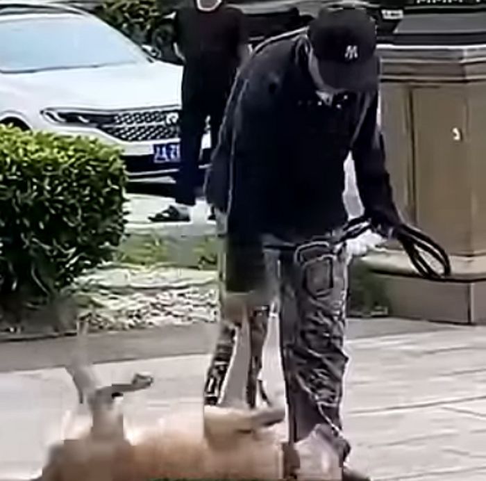 애니멀플래닛