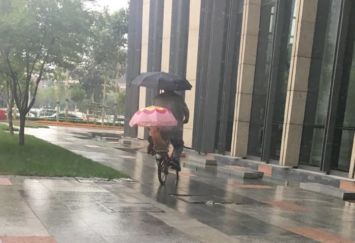 애니멀플래닛