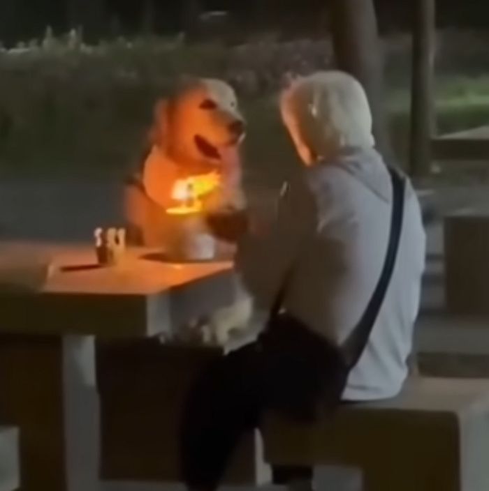 애니멀플래닛