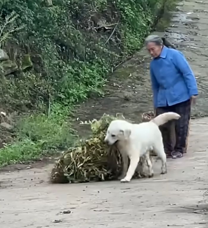 애니멀플래닛