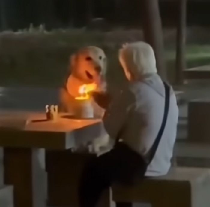 애니멀플래닛