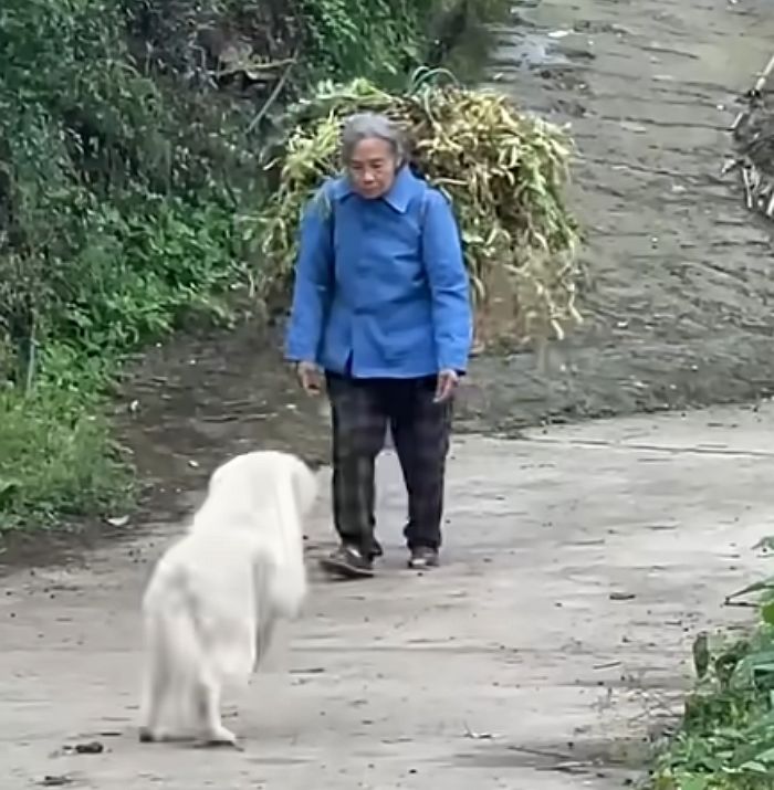 애니멀플래닛