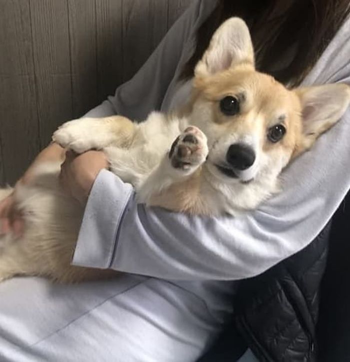 애니멀플래닛