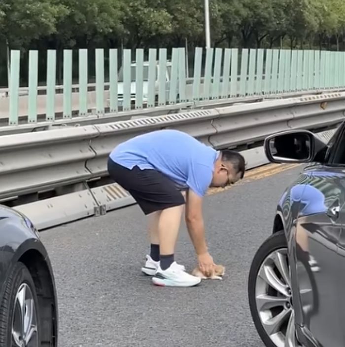 애니멀플래닛