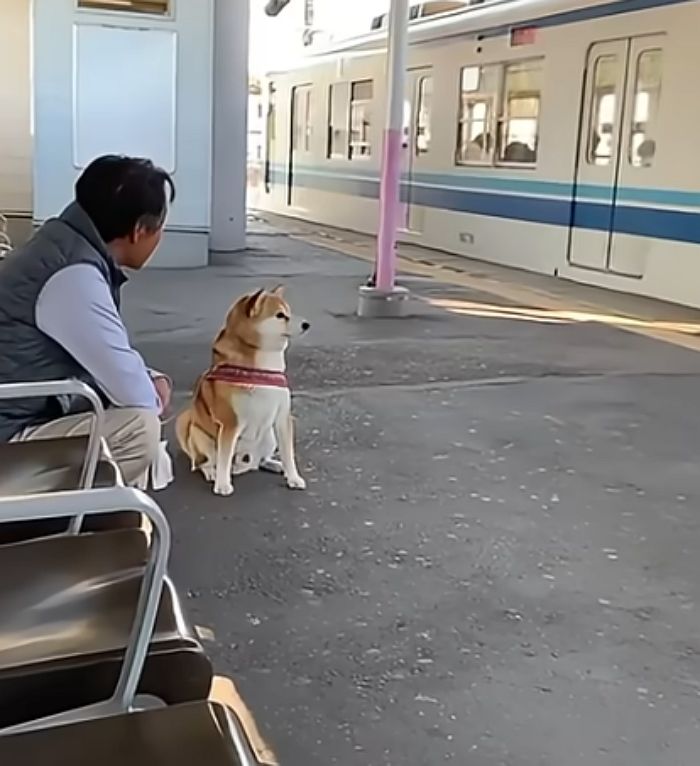 애니멀플래닛
