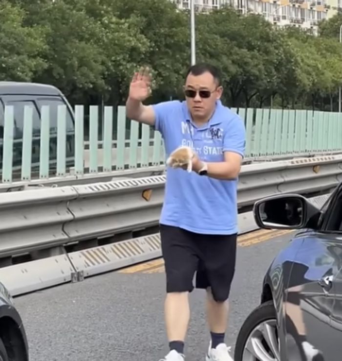 애니멀플래닛