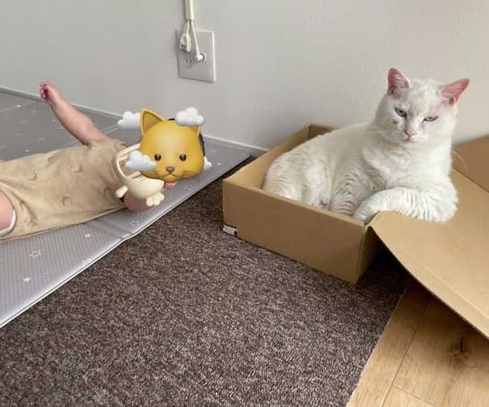 애니멀플래닛