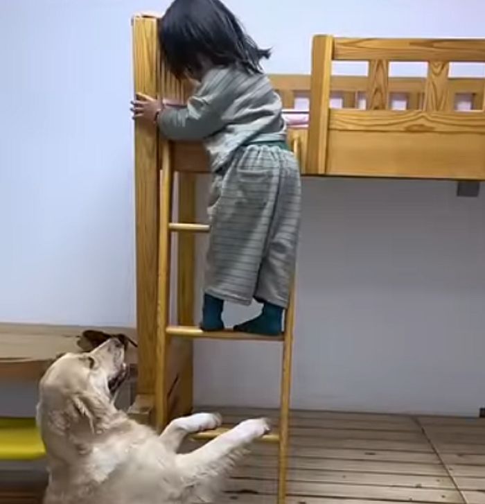 애니멀플래닛