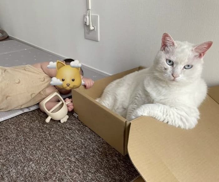 애니멀플래닛