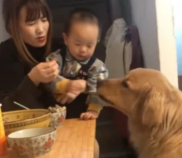 애니멀플래닛