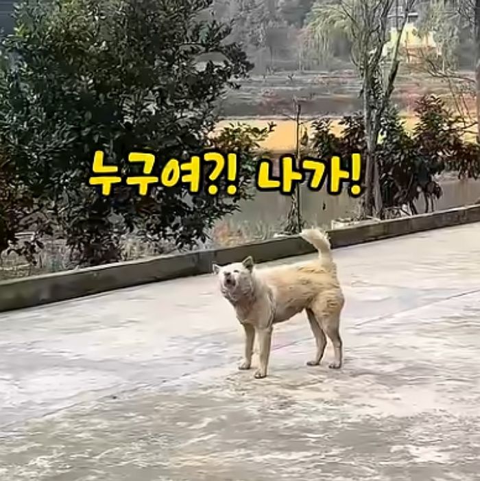 애니멀플래닛