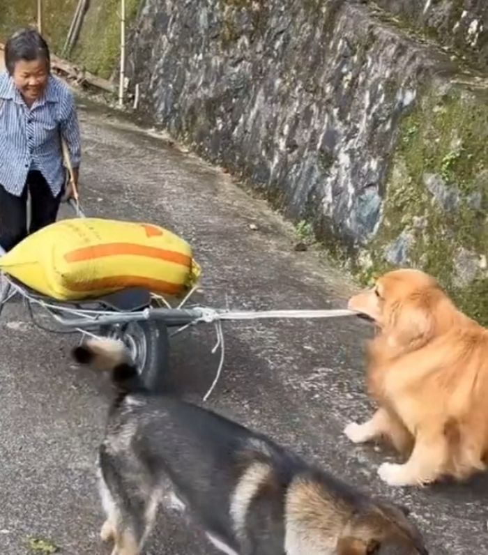 애니멀플래닛