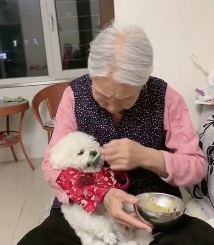 애니멀플래닛