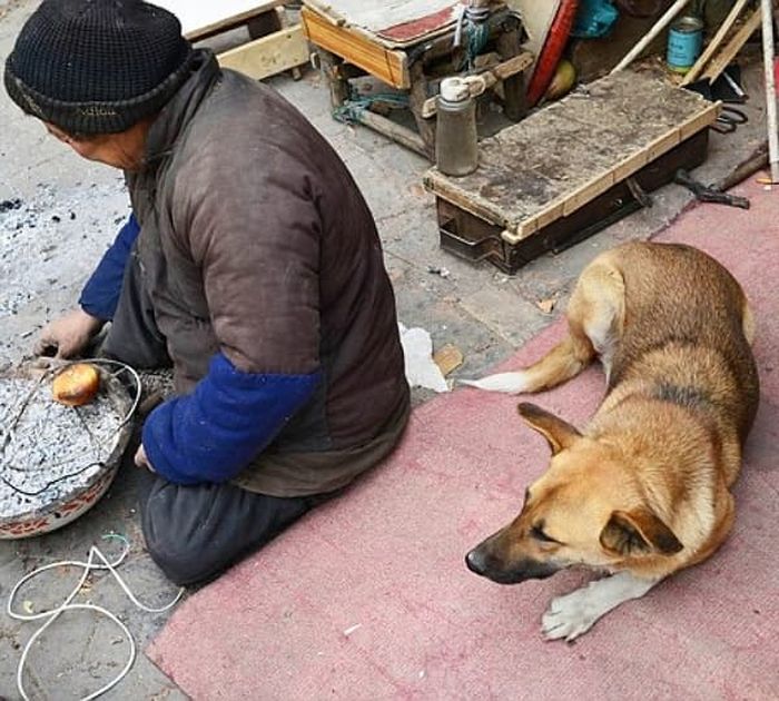 애니멀플래닛