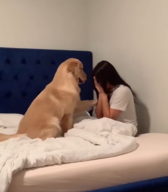 애니멀플래닛
