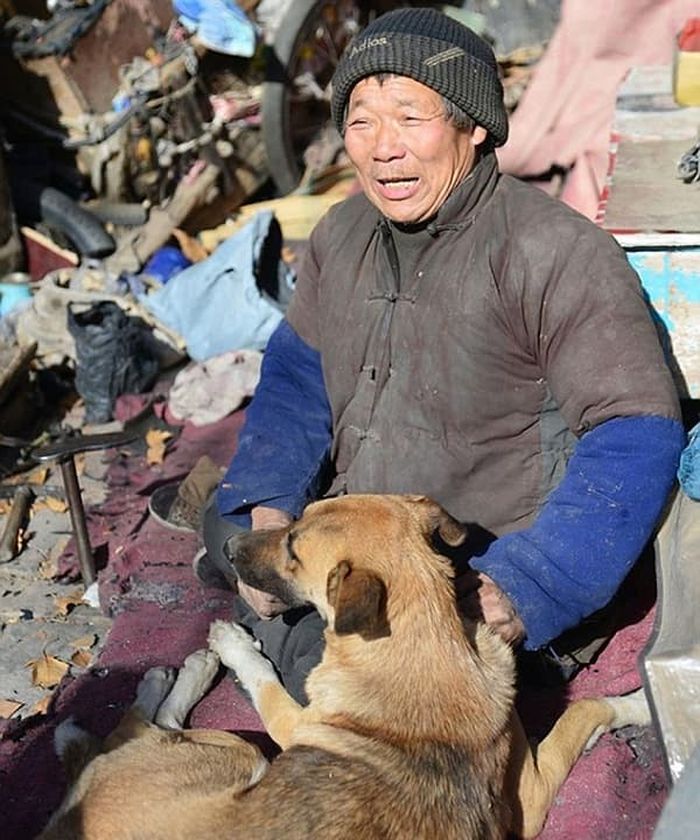 애니멀플래닛