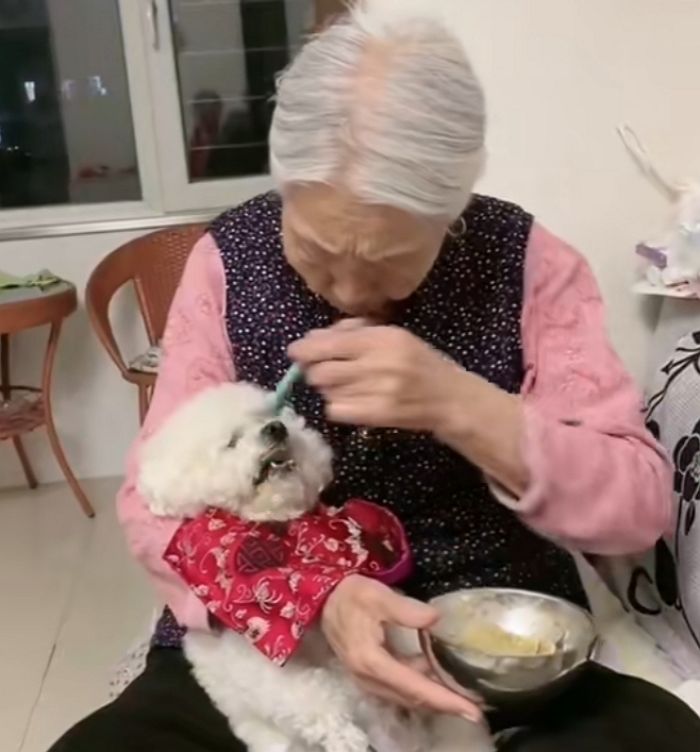 애니멀플래닛