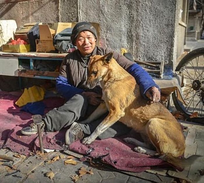 애니멀플래닛
