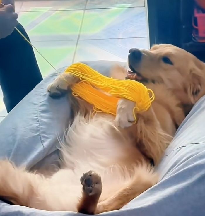 애니멀플래닛