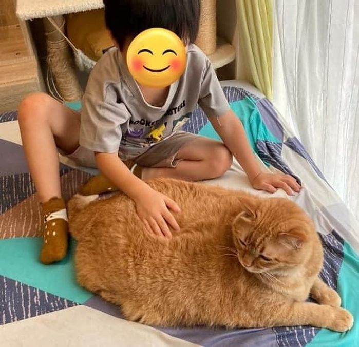 애니멀플래닛