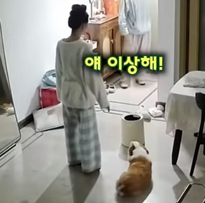 애니멀플래닛