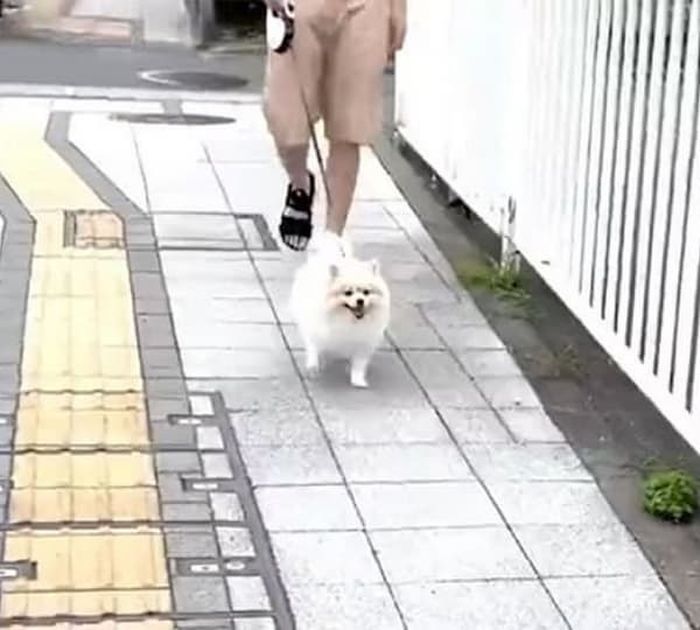 애니멀플래닛