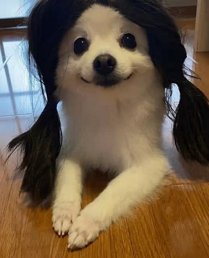 애니멀플래닛