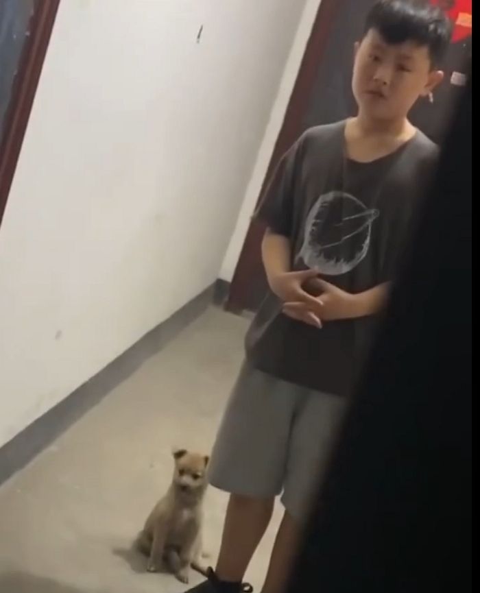 애니멀플래닛