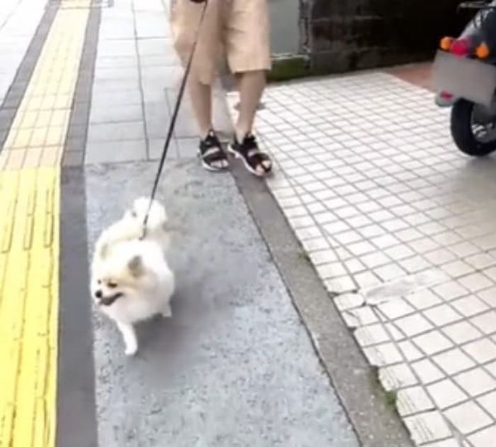 애니멀플래닛